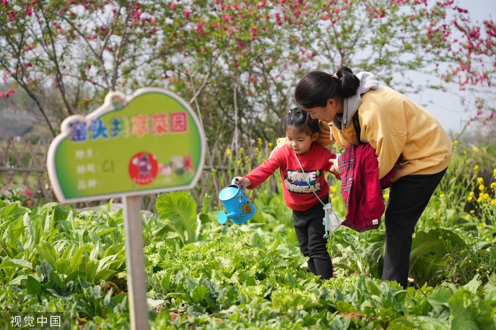 广西桂林：市民租赁共享菜园体验农耕时光