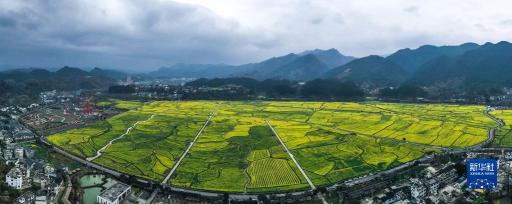 贵州贵定：“农旅融合”助力乡村振兴