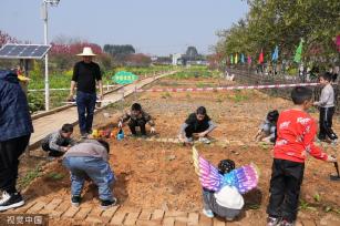 广西桂林：市民租赁共享菜园体验农耕时光