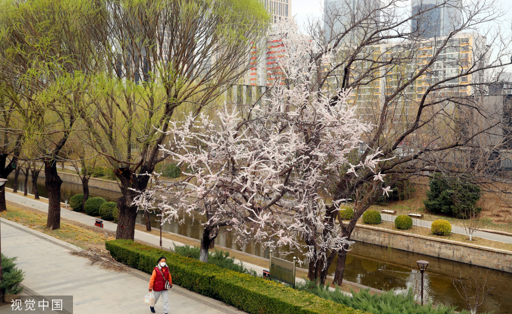 
浙江省肿瘤医院黄牛代挂号电话票贩子号贩子网上预约挂号,住院检查加快,北京：公园“无界” 市民游玩元大都遗址公园