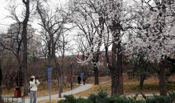 北京：公园“无界” 市民游玩元大都遗址公园