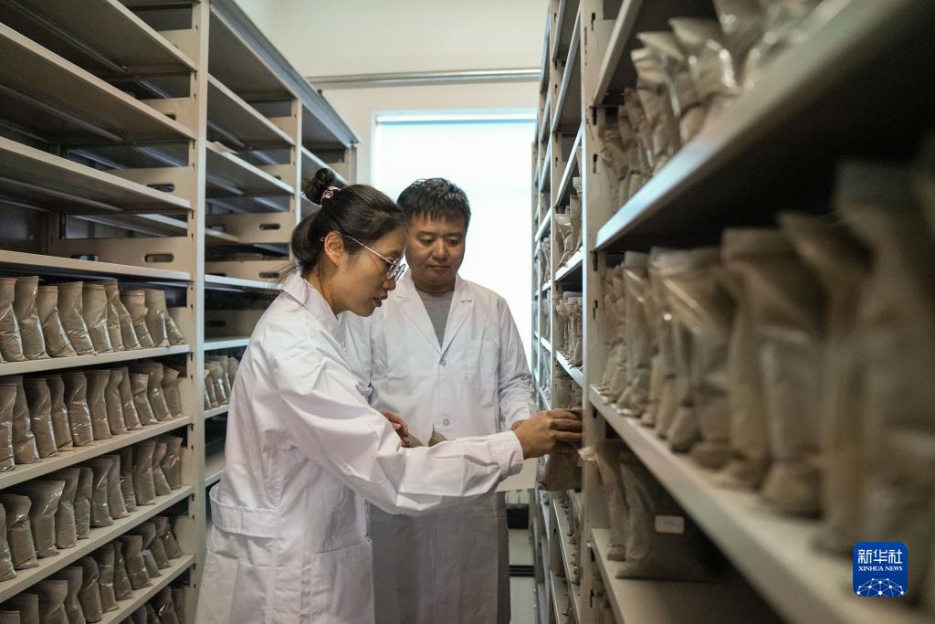 西安西京医院黄牛代挂号电话票贩子号贩子网上预约挂号,住院检查加快,用科技力量筑牢“中国粮仓”