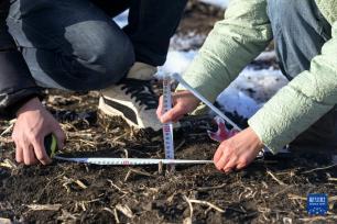 用科技力量筑牢“中国粮仓”