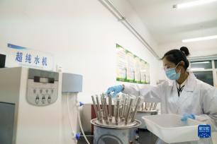 用科技力量筑牢“中国粮仓”