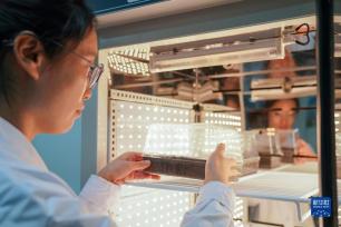 用科技力量筑牢“中国粮仓”