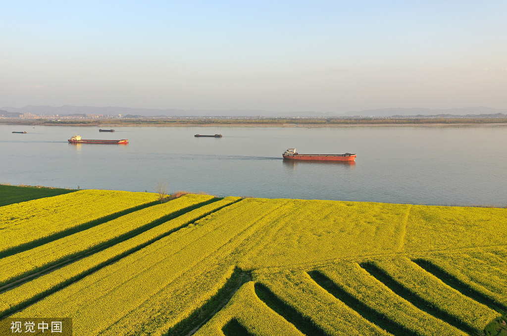 安徽安庆：长江岸线水清岸绿 货船往来穿梭