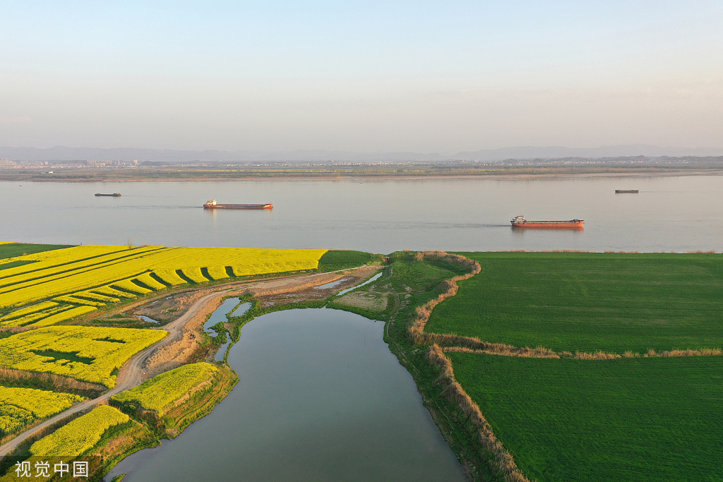 安徽安庆：长江岸线水清岸绿 货船往来穿梭