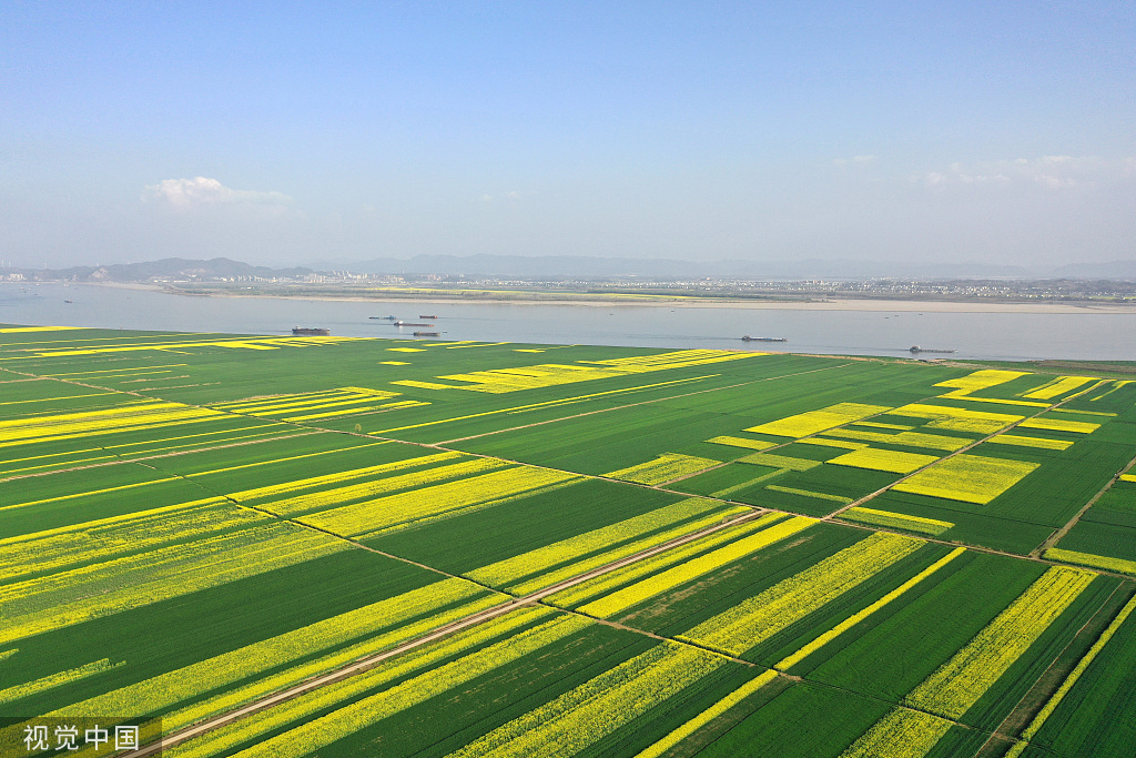 安徽安庆：长江岸线水清岸绿 货船往来穿梭