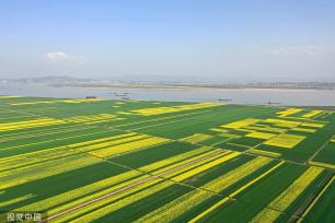 安徽安庆：长江岸线水清岸绿 货船往来穿梭