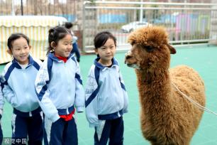 青岛：幼儿园开展“动物科普进校园”活动
