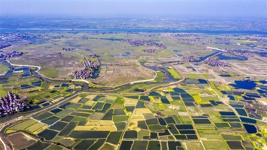 江西樟树：春日大地宛如“调色板 ”