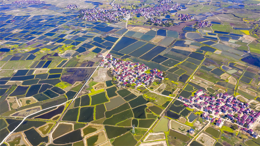 江西樟树：春日大地宛如“调色板 ”