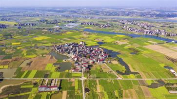 江西樟树：春日大地宛如“调色板 ”