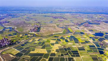 江西樟树：春日大地宛如“调色板 ”