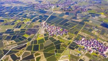 江西樟树：春日大地宛如“调色板 ”