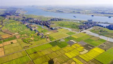 江西樟树：春日大地宛如“调色板 ”