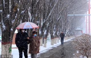 春分将至 新疆塔城普降大雪