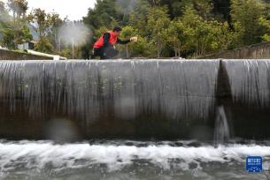 湖南衡山：泉水鱼养殖带动村民增收