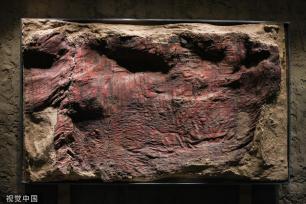 山西博物院1238件组文物首次亮相