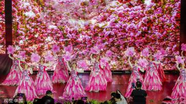 天津海棠花节拉开序幕