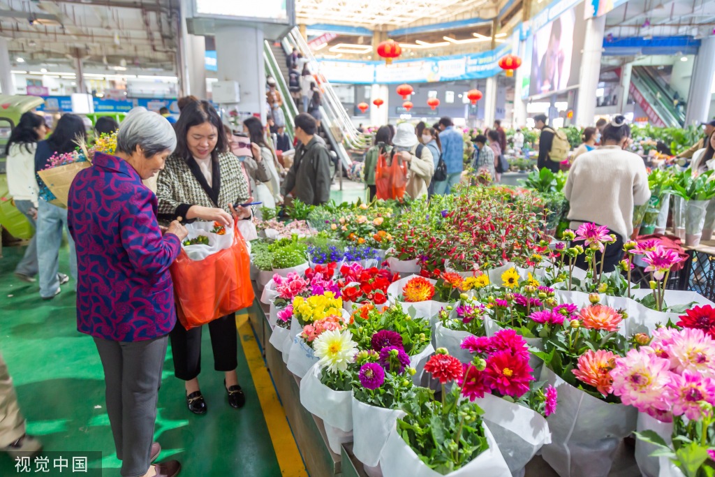 昆明斗南花卉市场人头攒动 日均客流近3万