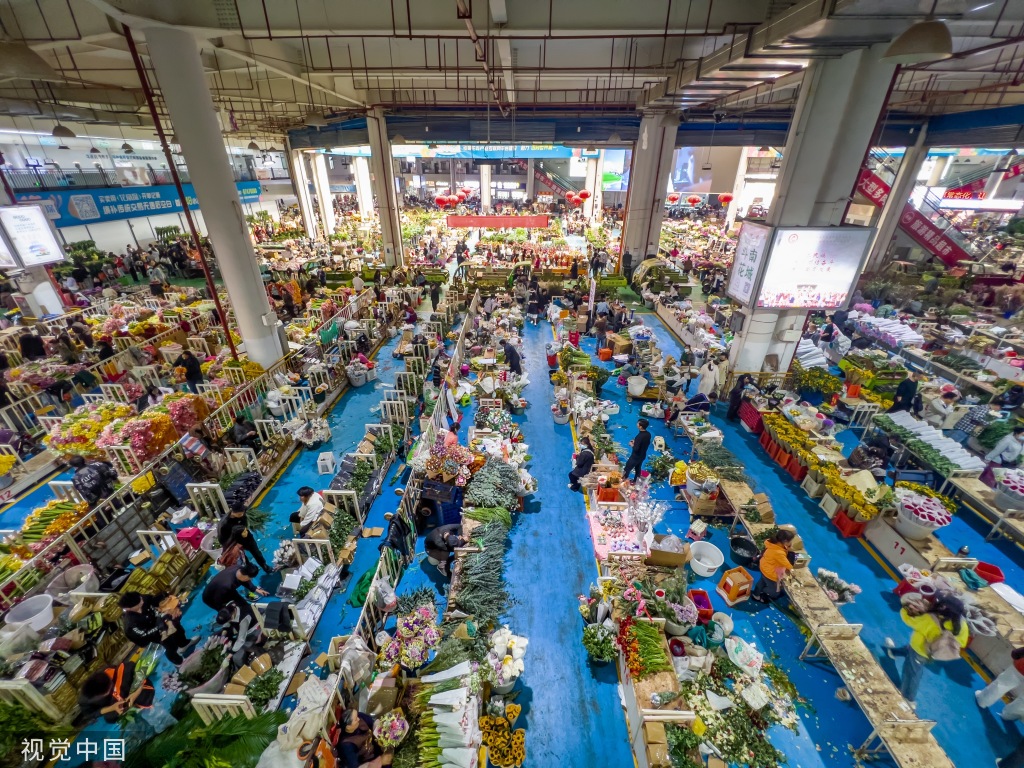 昆明斗南花卉市场人头攒动 日均客流近3万