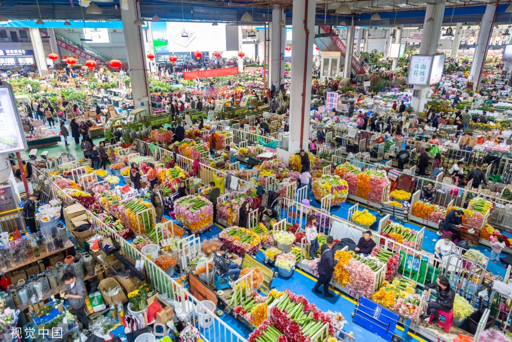 昆明斗南花卉市场人头攒动 日均客流近3万