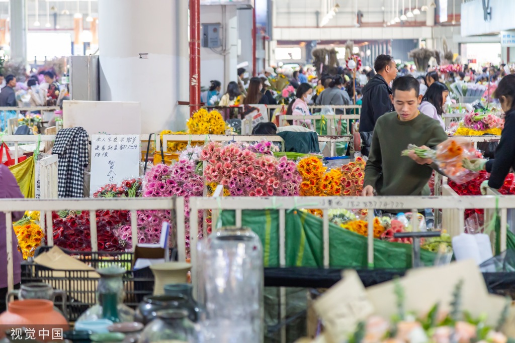 昆明斗南花卉市场人头攒动 日均客流近3万