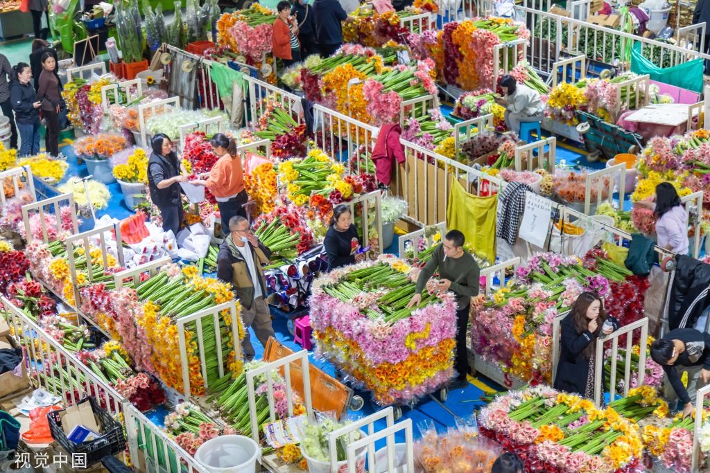 昆明斗南花卉市场人头攒动 日均客流近3万