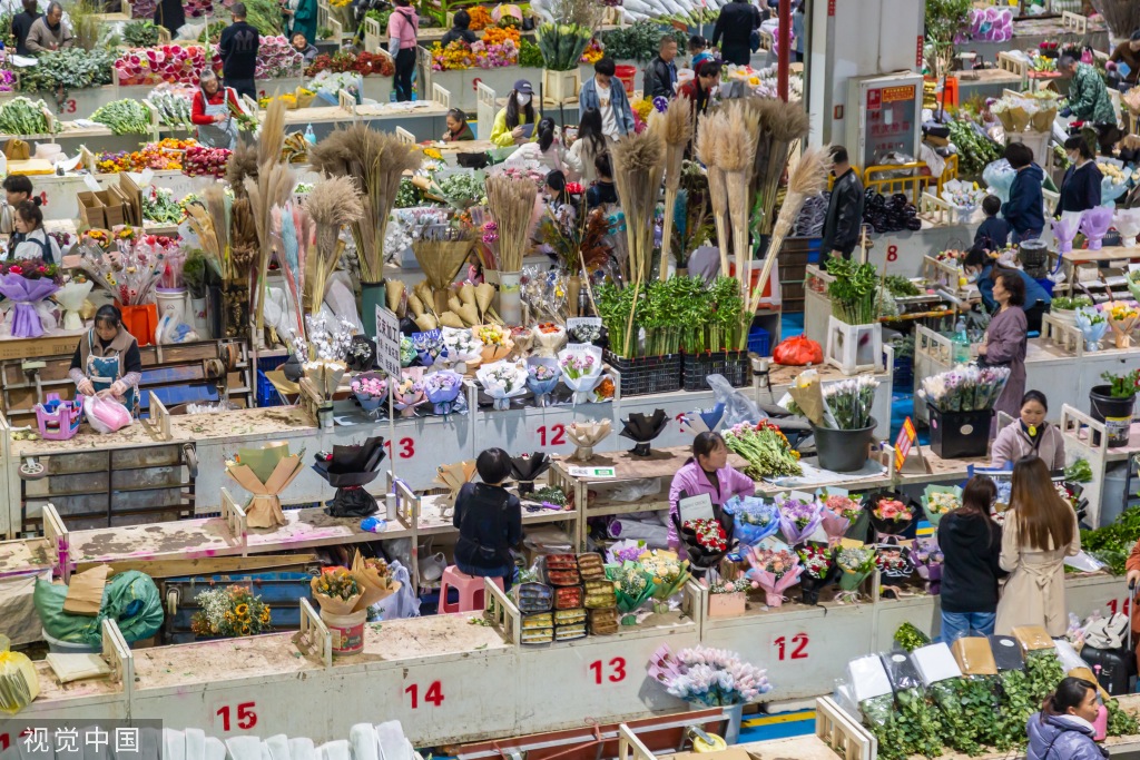 昆明斗南花卉市场人头攒动 日均客流近3万