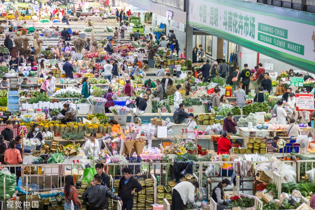 昆明斗南花卉市场人头攒动 日均客流近3万