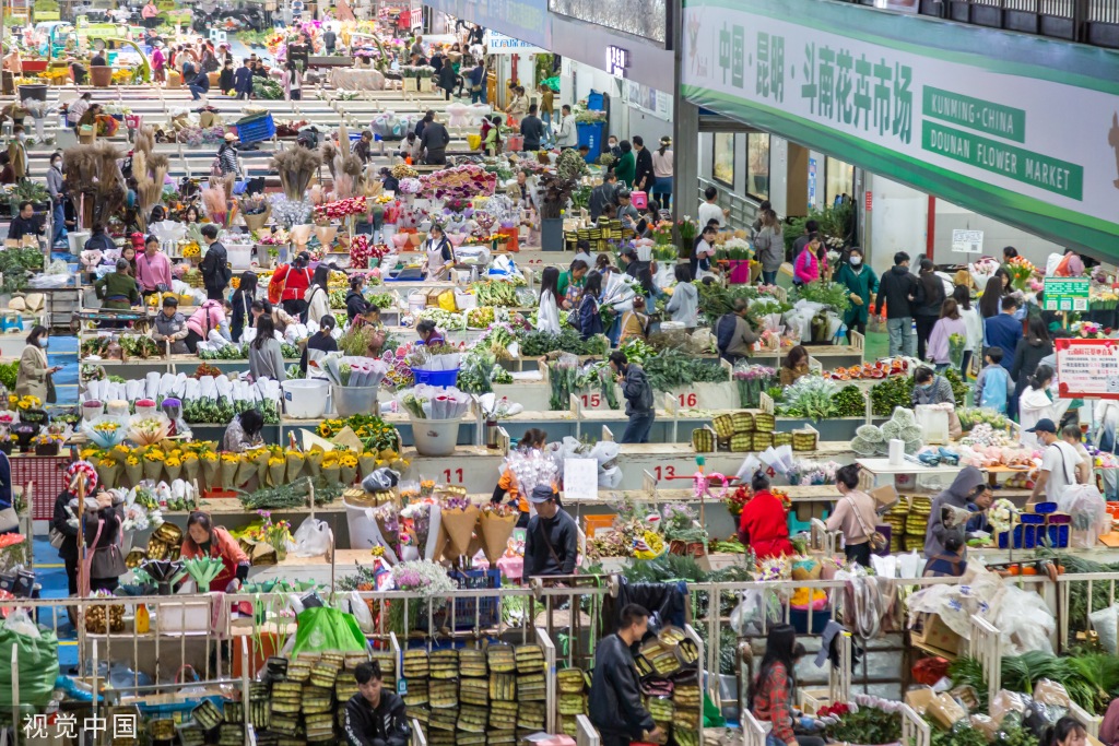 昆明斗南花卉市场人头攒动 日均客流近3万