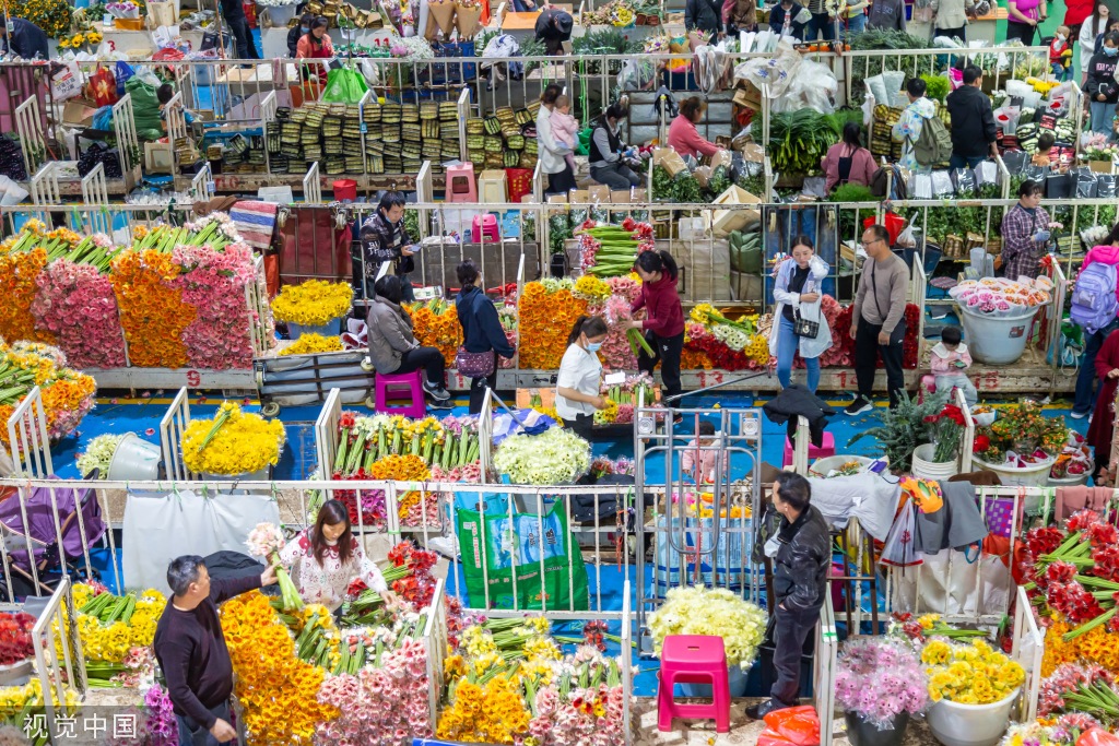 昆明斗南花卉市场人头攒动 日均客流近3万