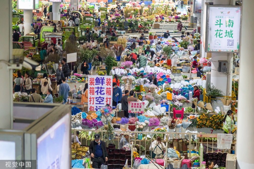 昆明斗南花卉市场人头攒动 日均客流近3万