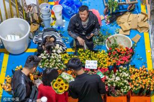 昆明斗南花卉市场人头攒动 日均客流近3万