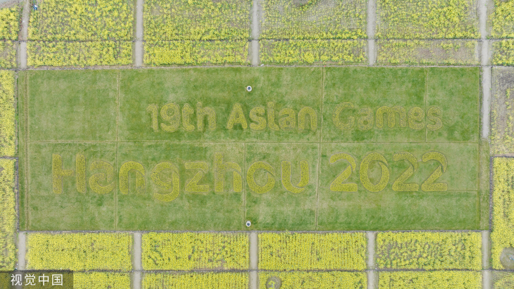 杭州亚运村周边油菜花盛开 组成“杭州”字样