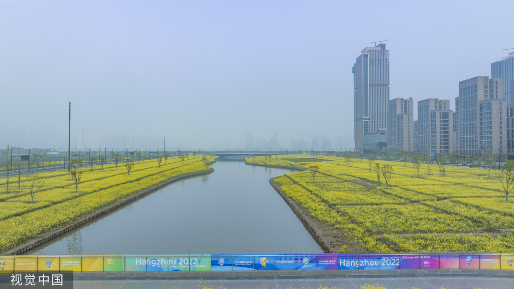 杭州亚运村周边油菜花盛开 组成“杭州”字样