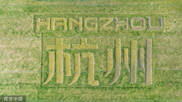 杭州亚运村周边油菜花盛开 组成“杭州”字样