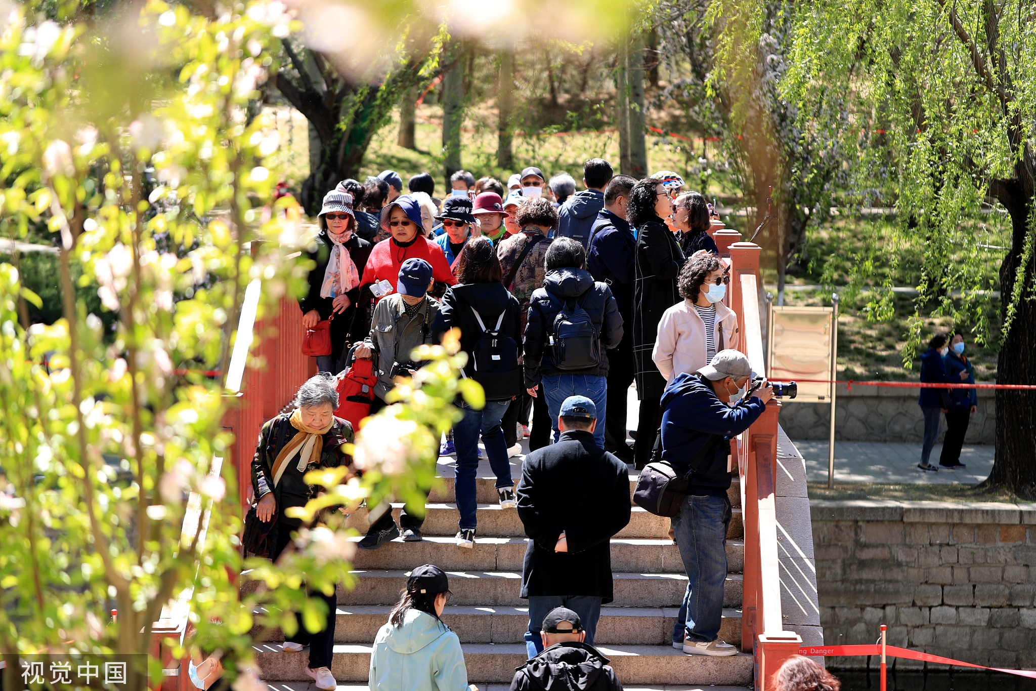 北京元土城遗址公园海棠花节开幕 28种海棠渐次开放