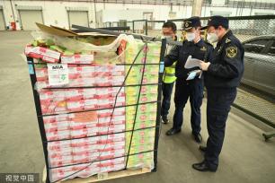首批厄瓜多尔火龙果获准进入中国市场
