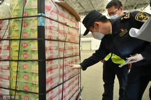 首批厄瓜多尔火龙果获准进入中国市场