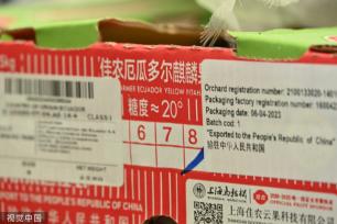首批厄瓜多尔火龙果获准进入中国市场