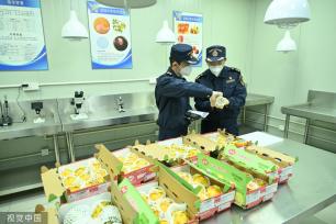 首批厄瓜多尔火龙果获准进入中国市场