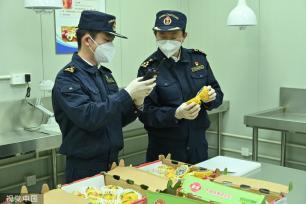 首批厄瓜多尔火龙果获准进入中国市场