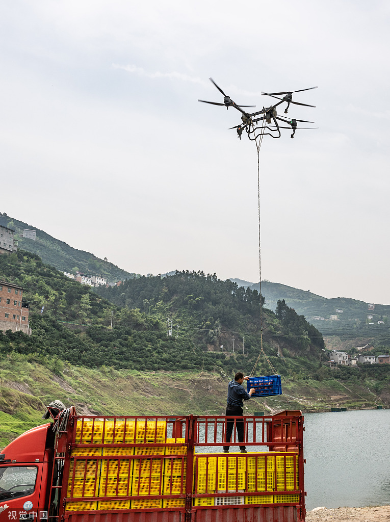湖北秭归：果农使用无人机转运脐橙