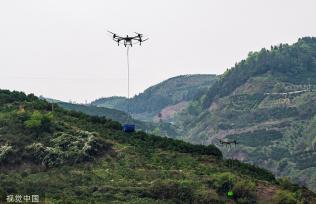 湖北秭归：果农使用无人机转运脐橙