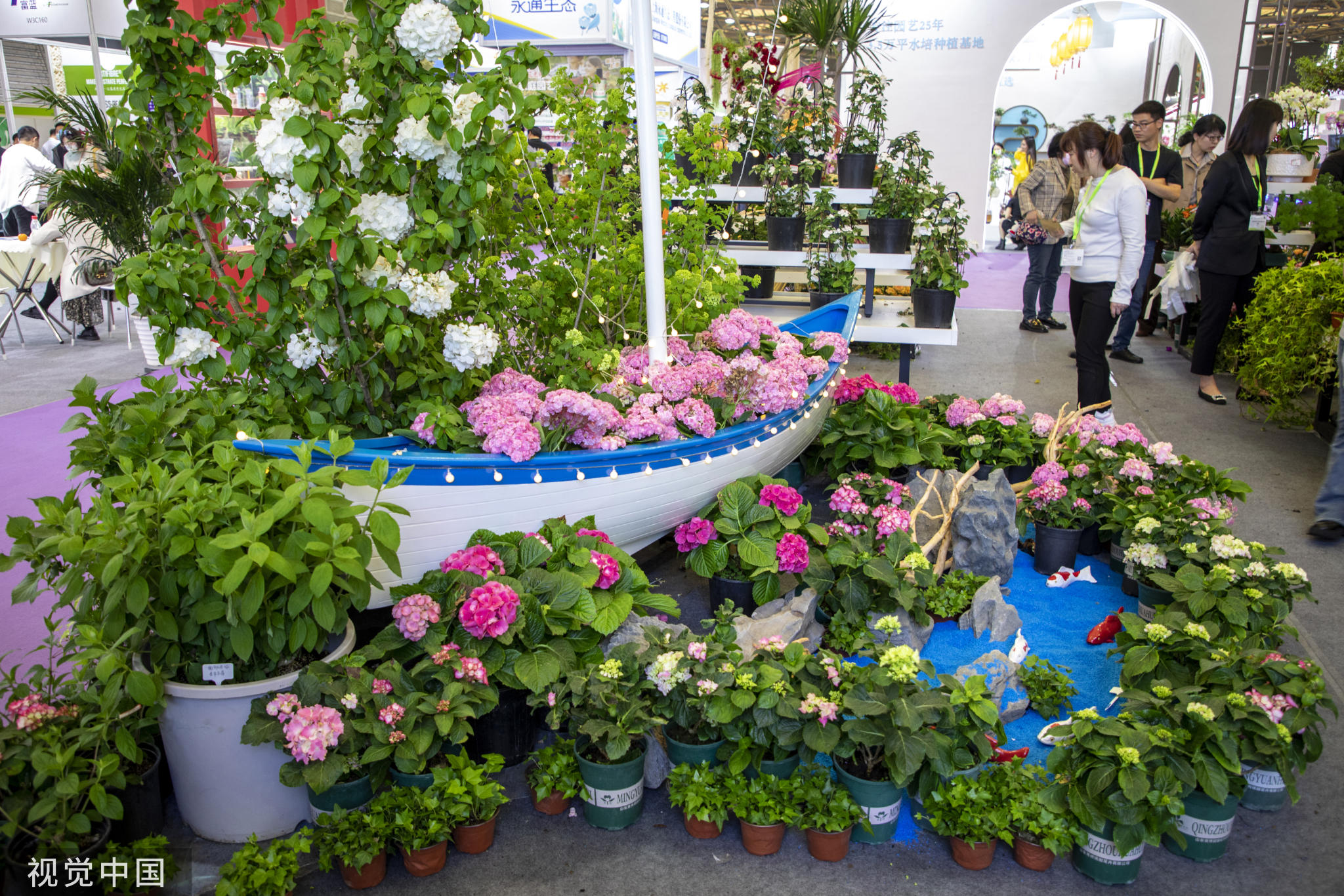 
北京宣武医院黄牛代挂号电话票贩子号贩子网上预约挂号,住院检查加快,中国国际花卉园艺展览会在上海举行