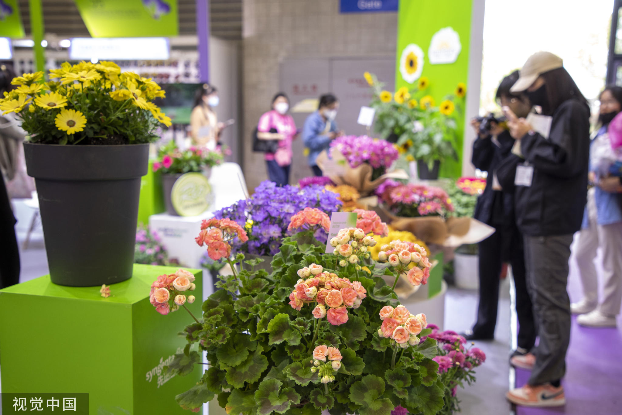 
北京宣武医院黄牛代挂号电话票贩子号贩子网上预约挂号,住院检查加快,中国国际花卉园艺展览会在上海举行