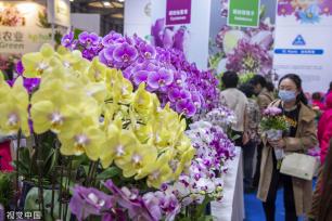 中国国际花卉园艺展览会在上海举行