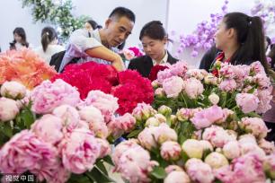 中国国际花卉园艺展览会在上海举行